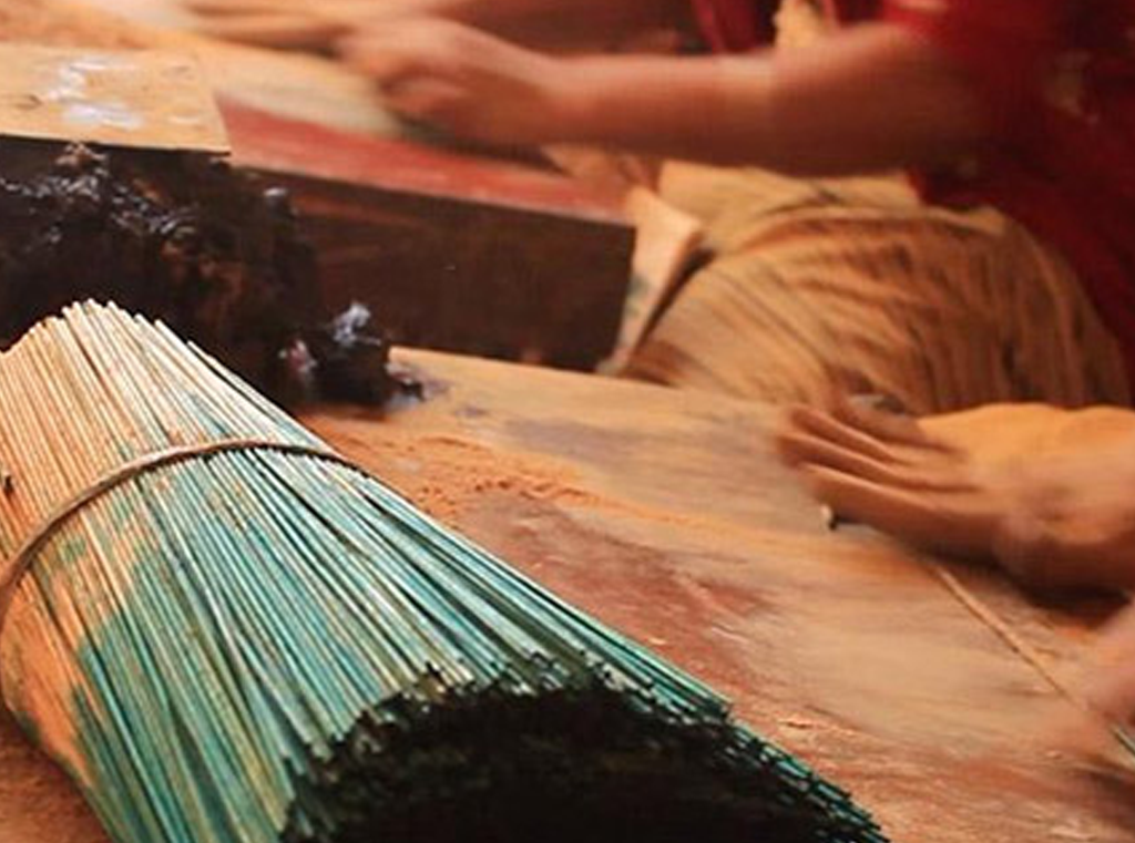 Equisterian Family home